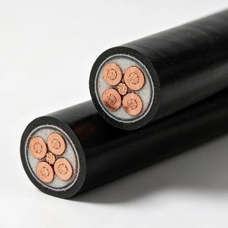 Cáp đồng điện áp thấp chống cháy PVC FR
