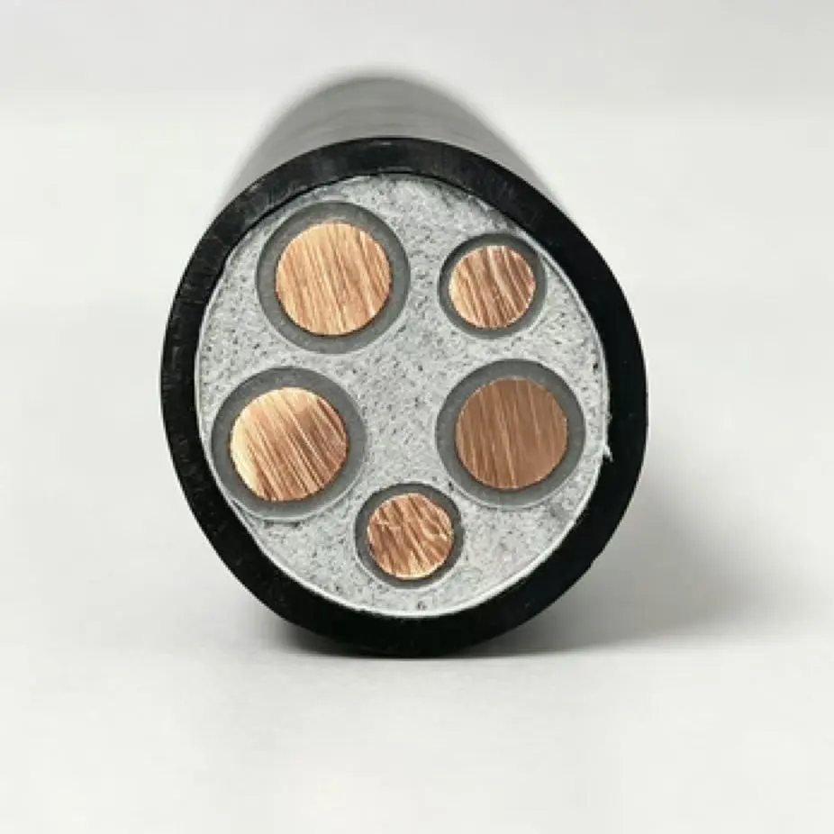 Cáp đồng hạ thế XLPE FR
